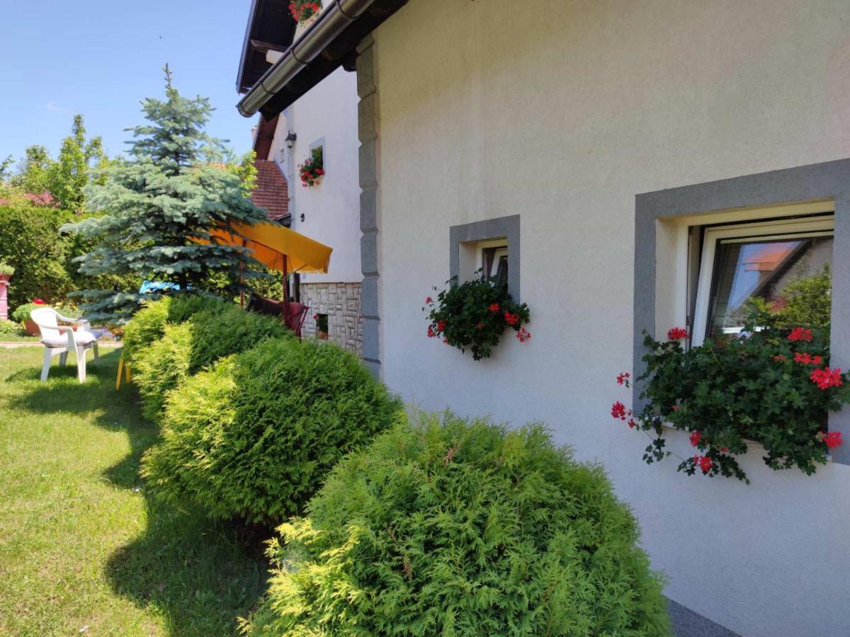 Privatni Smestaj Tesevic Zlatibor Exterior photo