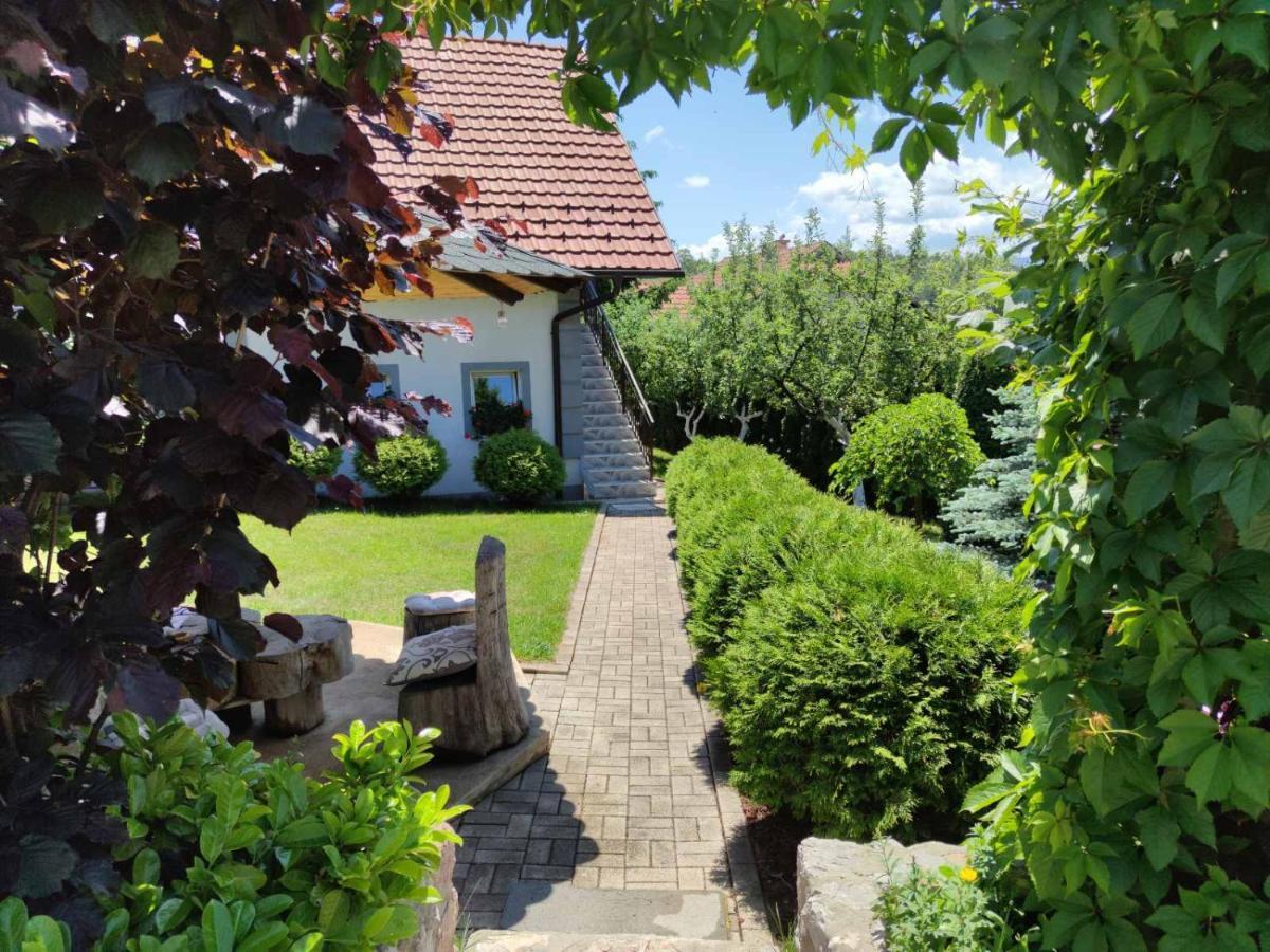 Privatni Smestaj Tesevic Zlatibor Exterior photo