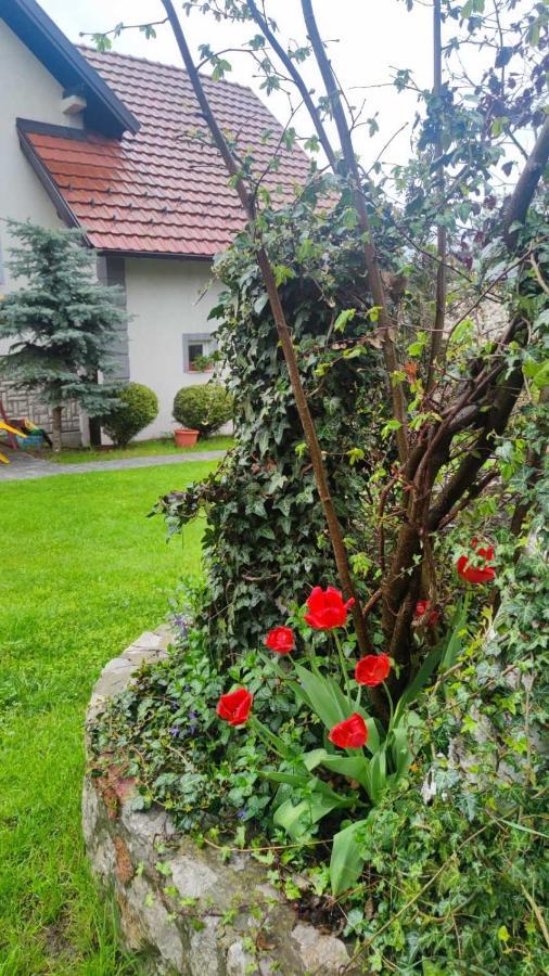 Privatni Smestaj Tesevic Zlatibor Exterior photo